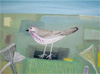 Norfolk Linnet